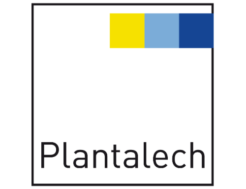 Plantalech completa el trident del femení