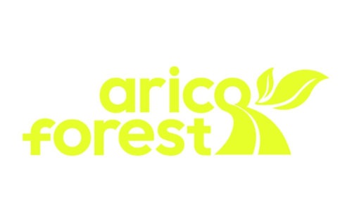 Arico Forest